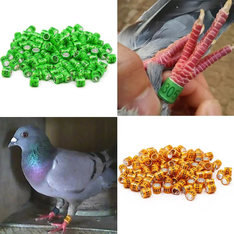

100 шт., 2022, алюминиевые пластиковые кольца для ног голубей с буквами-цифрами