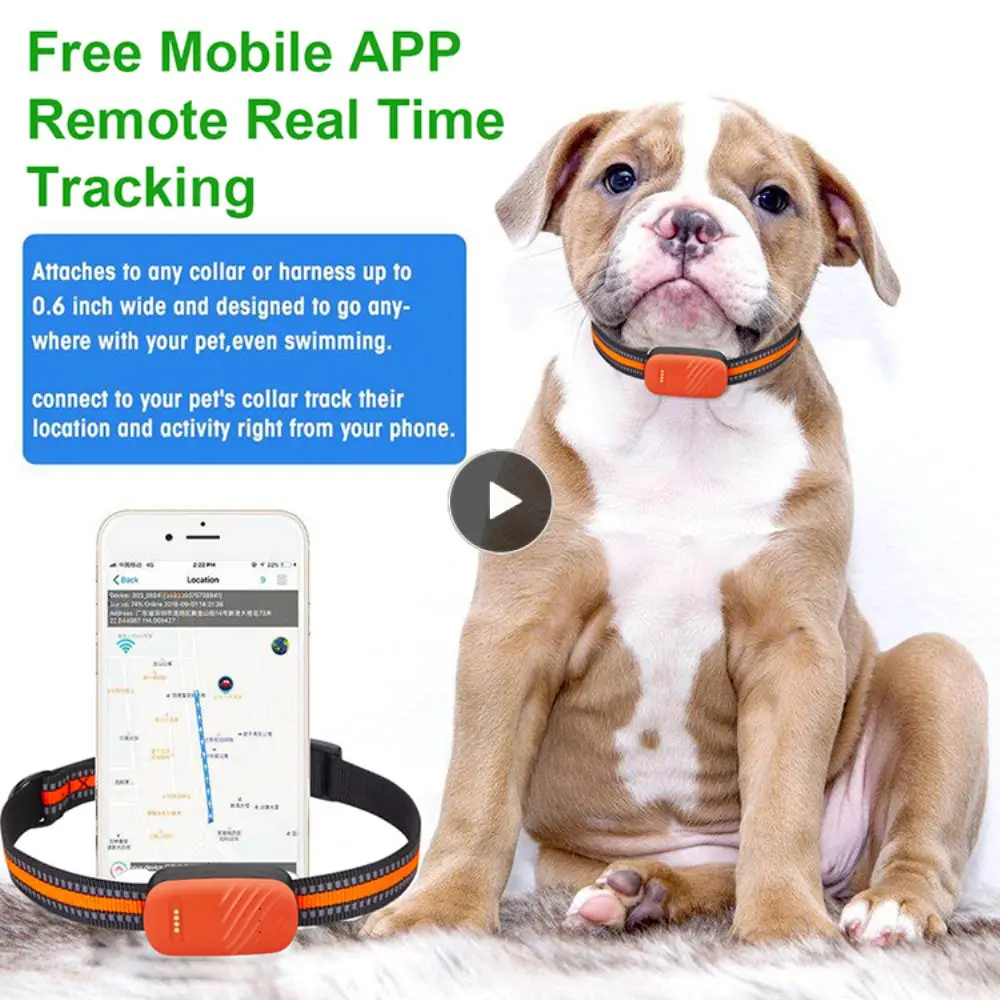 

Wireless Child Bag Wallet Key Finder 2g/4g Remote Monitoring Gps Pet Locator Two-way Call Gps Positioning Reliable Charging 5v
