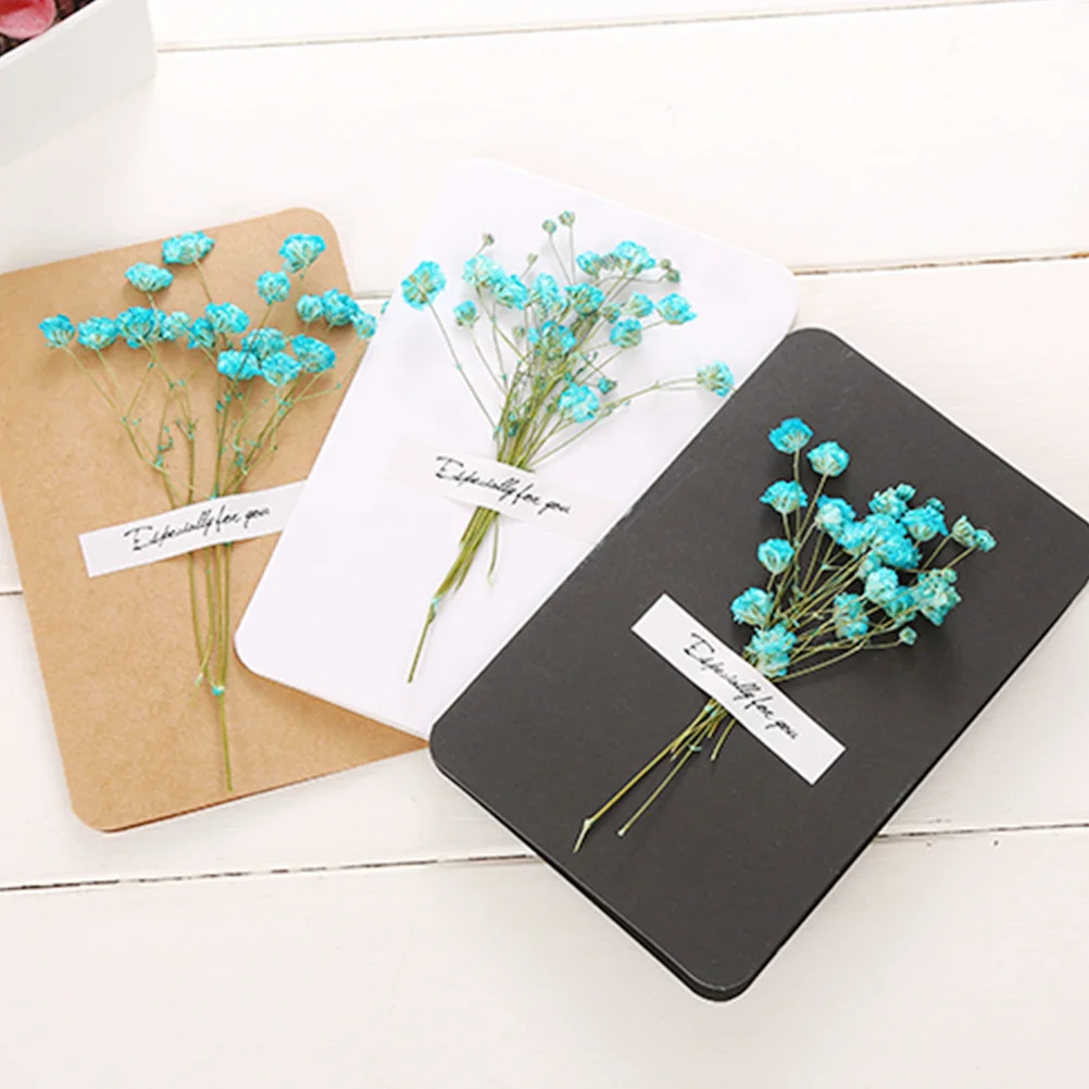 12pcs Dried Flower Gift Greeting Cards for Teachers' Day Valentine's Birthday (1pc Each Style) | Дом и сад