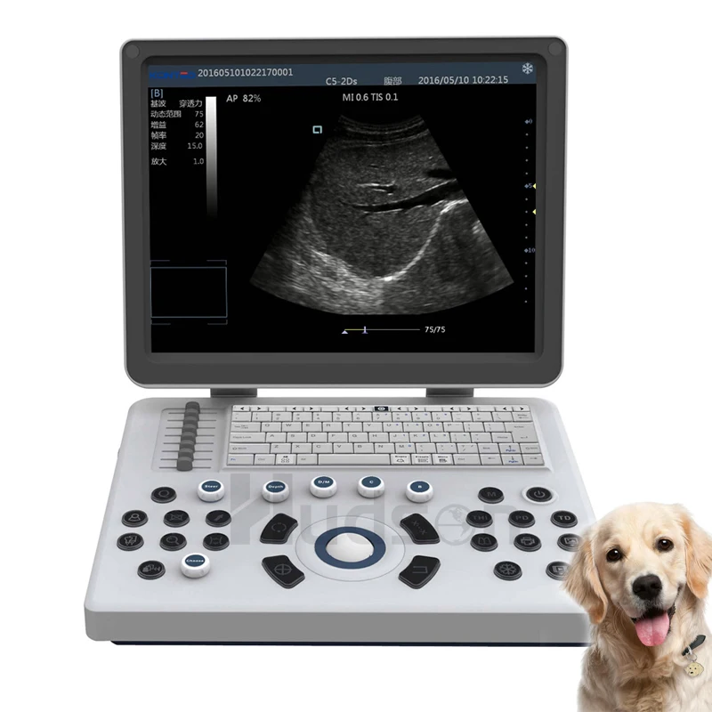 

Veterinary Ultrasound Equipment with Convex and Linear Array Probes Portable Ultrasound Scanner for Dog Cat