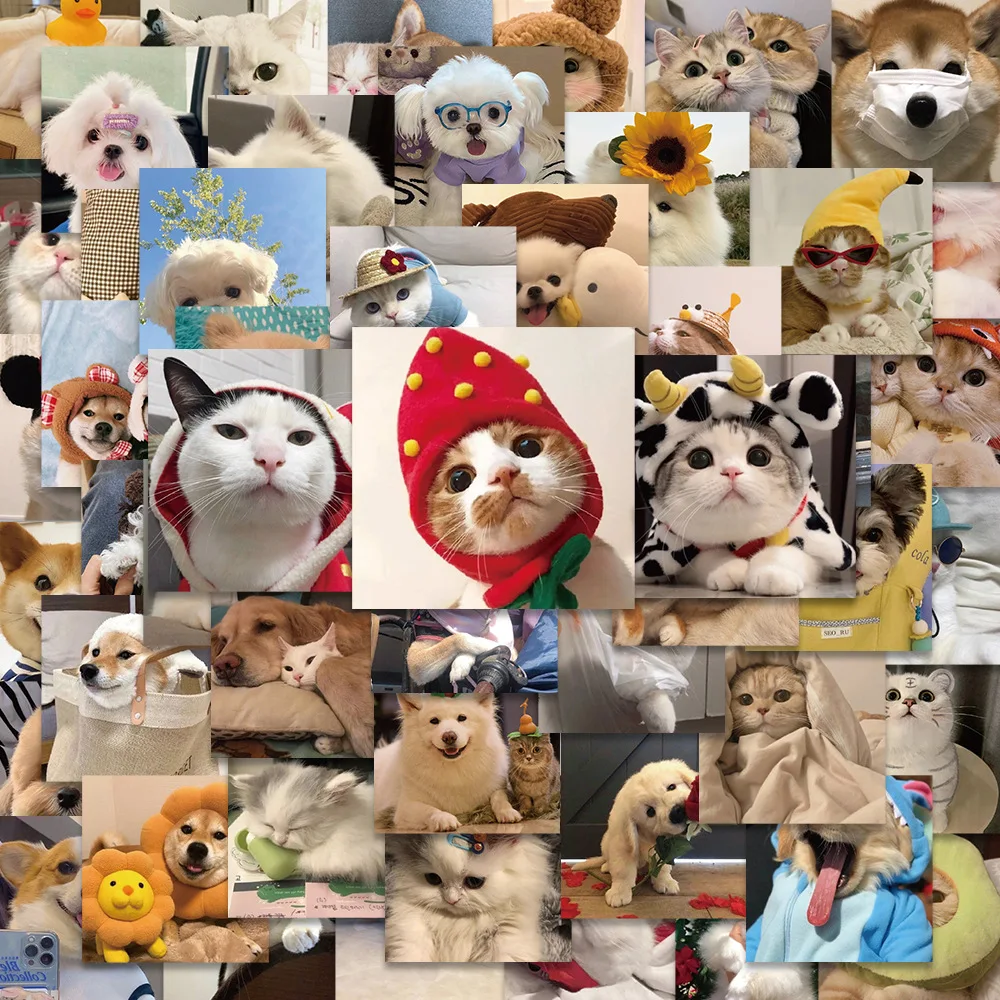 

10/30/50PCS New Cat Cartoon Personality Creative Sticker Suitcase Table Mobile Phone Computer Car Waterproof Sticker Wholesale