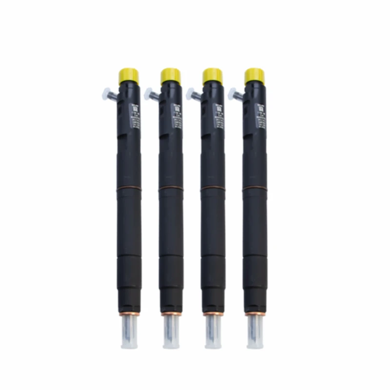 Фото EJBR04901D Топливная форсунка Common Rail высокого давления Delphi подходит для дизельного двигателя Jiangling ZCLJA30H25 №2