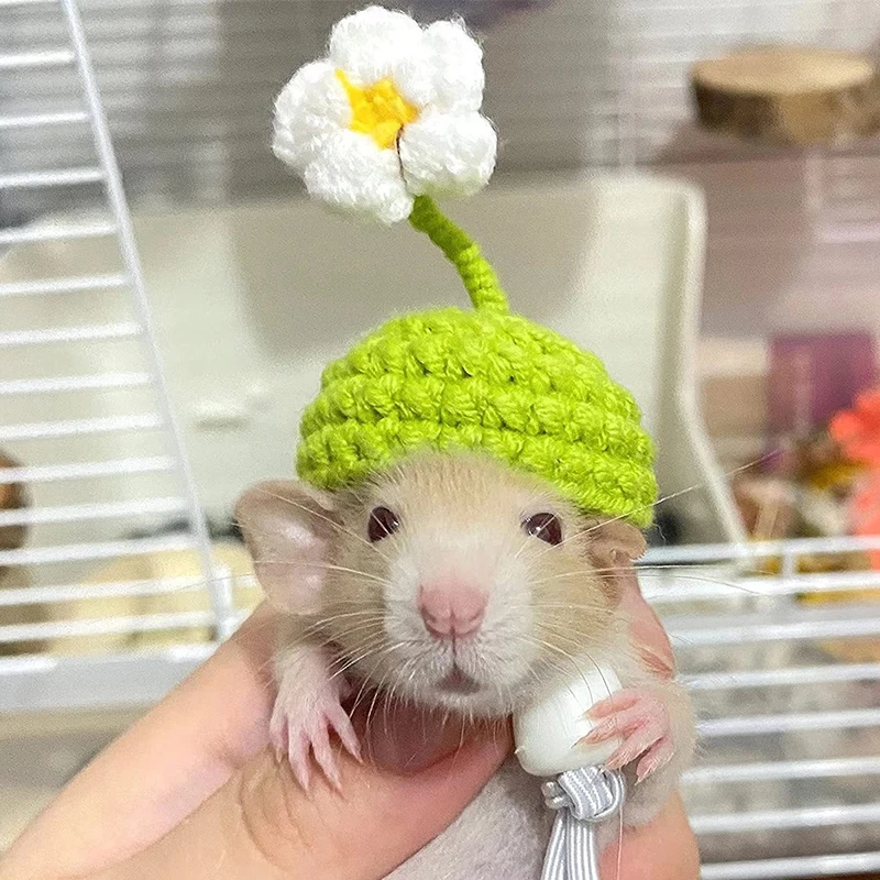Knitted Hamster Guinea Pig Hat Costume Mini Small Pet Items Hat Parrot Funny Headwear Pet Outfit Suit For Chinchilla Accessories
