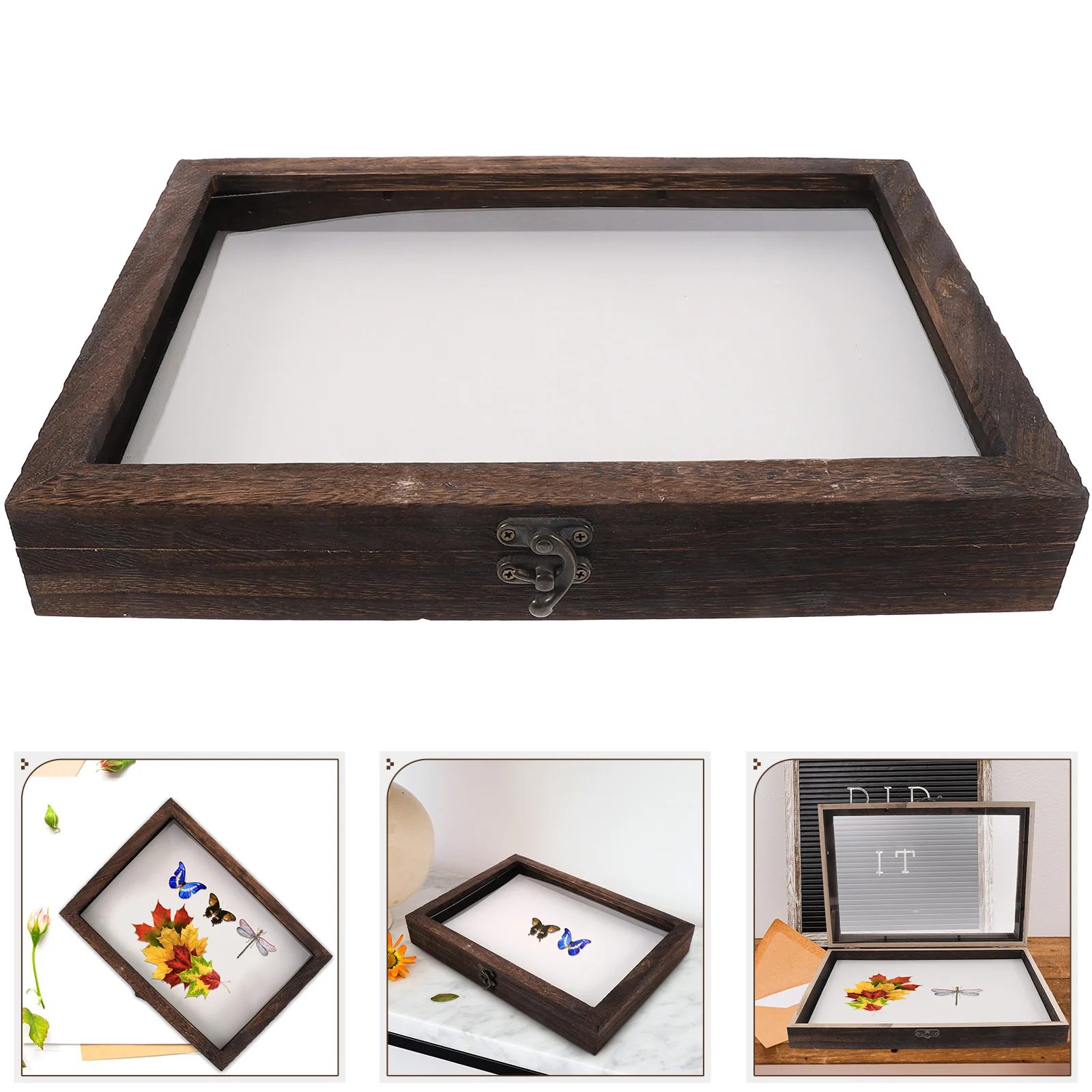 

Insect Specimen Box Container Dustproof Case Frame Wood Showcase Display Holder Wooden Picture Frames