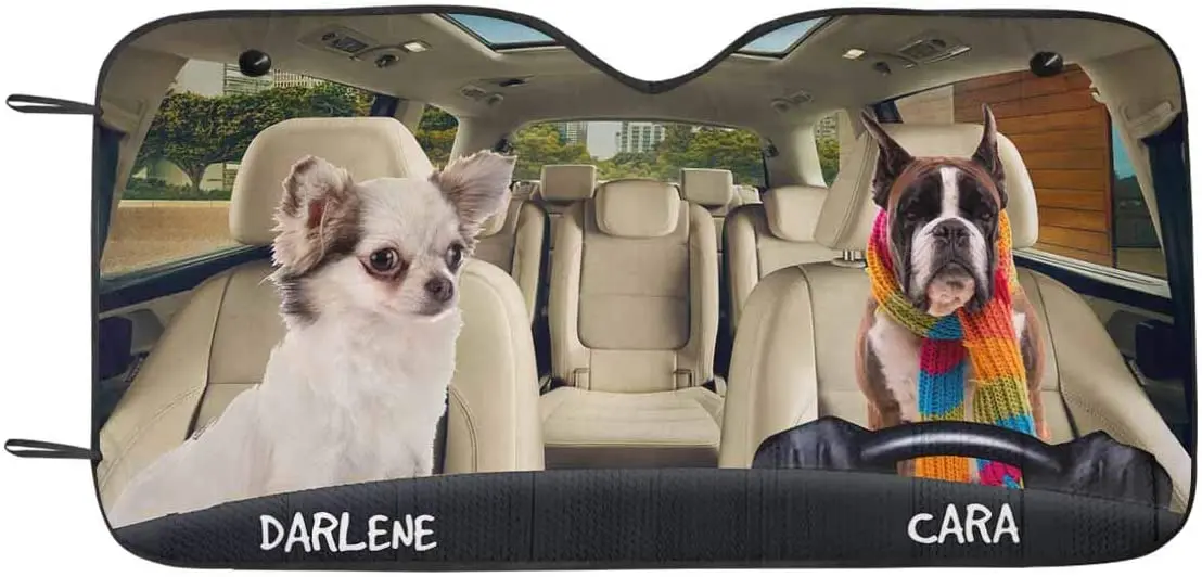 Рисунок 2 - Индивидуальные солнцезащитные Оттенки