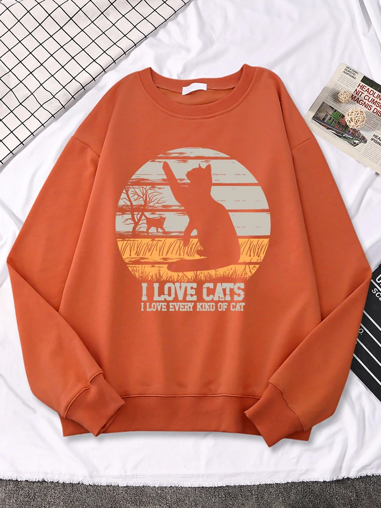 

Женская винтажная толстовка с принтом «I Love Cat I Love all виды кошек»