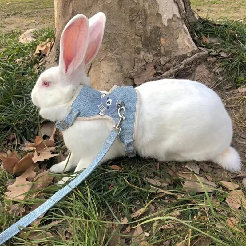 

Cute Rabbit Harness and Leash Set Bunny Pet Accessories Vest Harnesses Rabbit Leashes for Outdoor Walking Pets Supplies