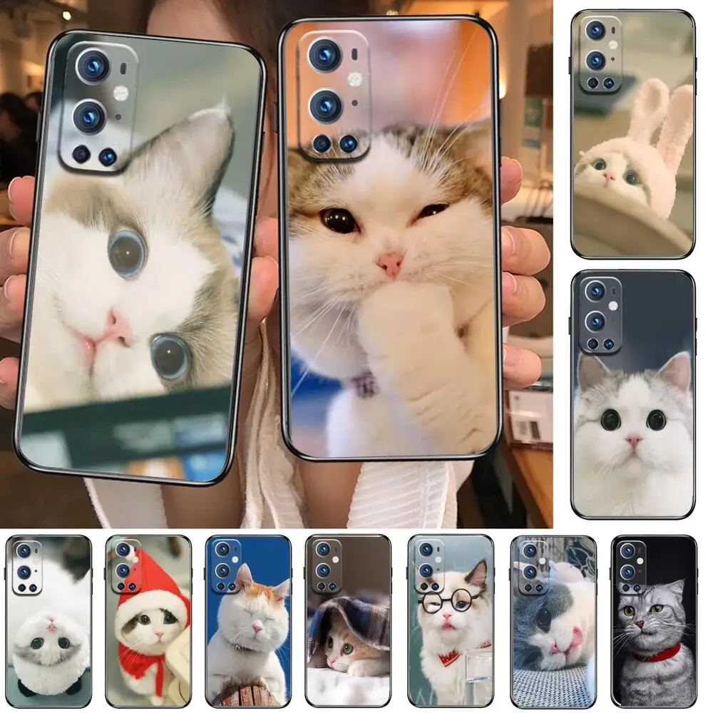 

New HD-cute cat For OnePlus Nord N100 N10 5G 9 8 Pro 7 7Pro Case Phone Cover For OnePlus 7 Pro 1+7T 6T 5T 3T Case