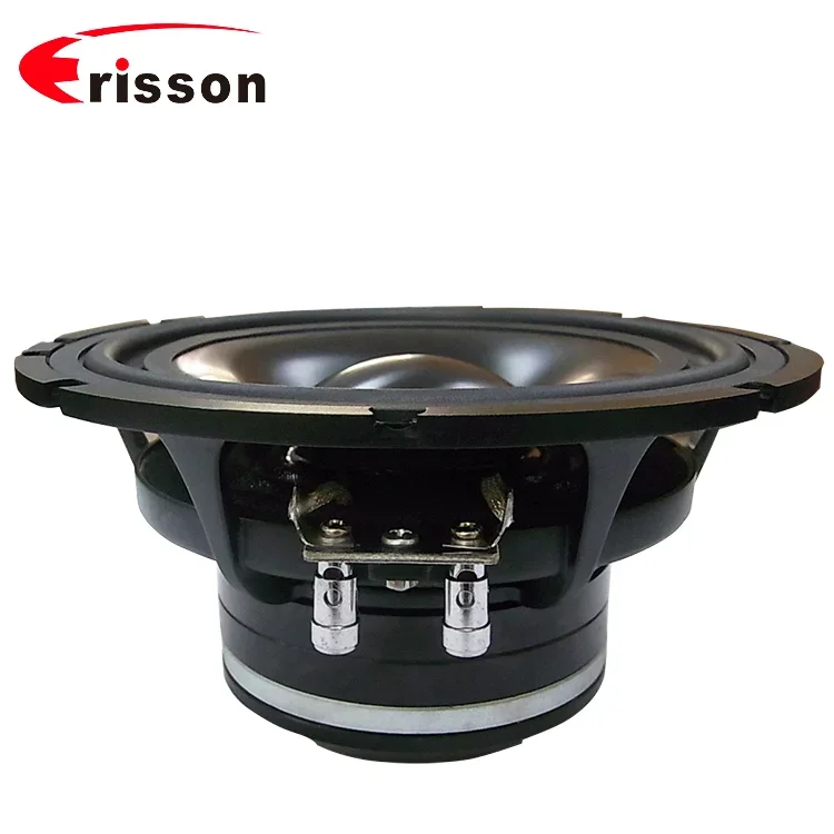 OEM-поставщик Высококачественный динамик Автомобильные колонки для автомобиля