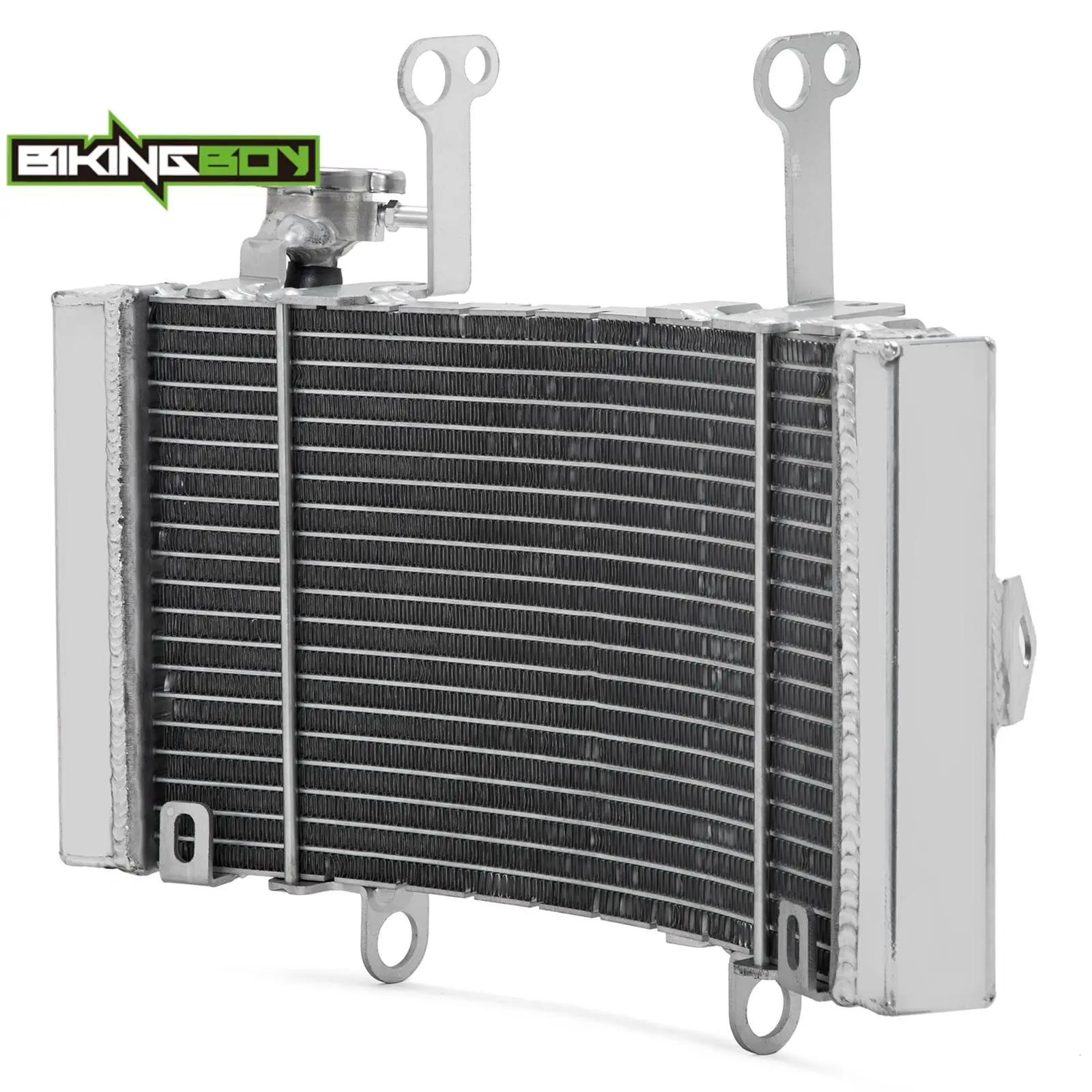 BIKINGBOY для HUSQVARNA FR 450 Rally/заводская копия 19 20 21 22 охлаждающий водяной охладитель