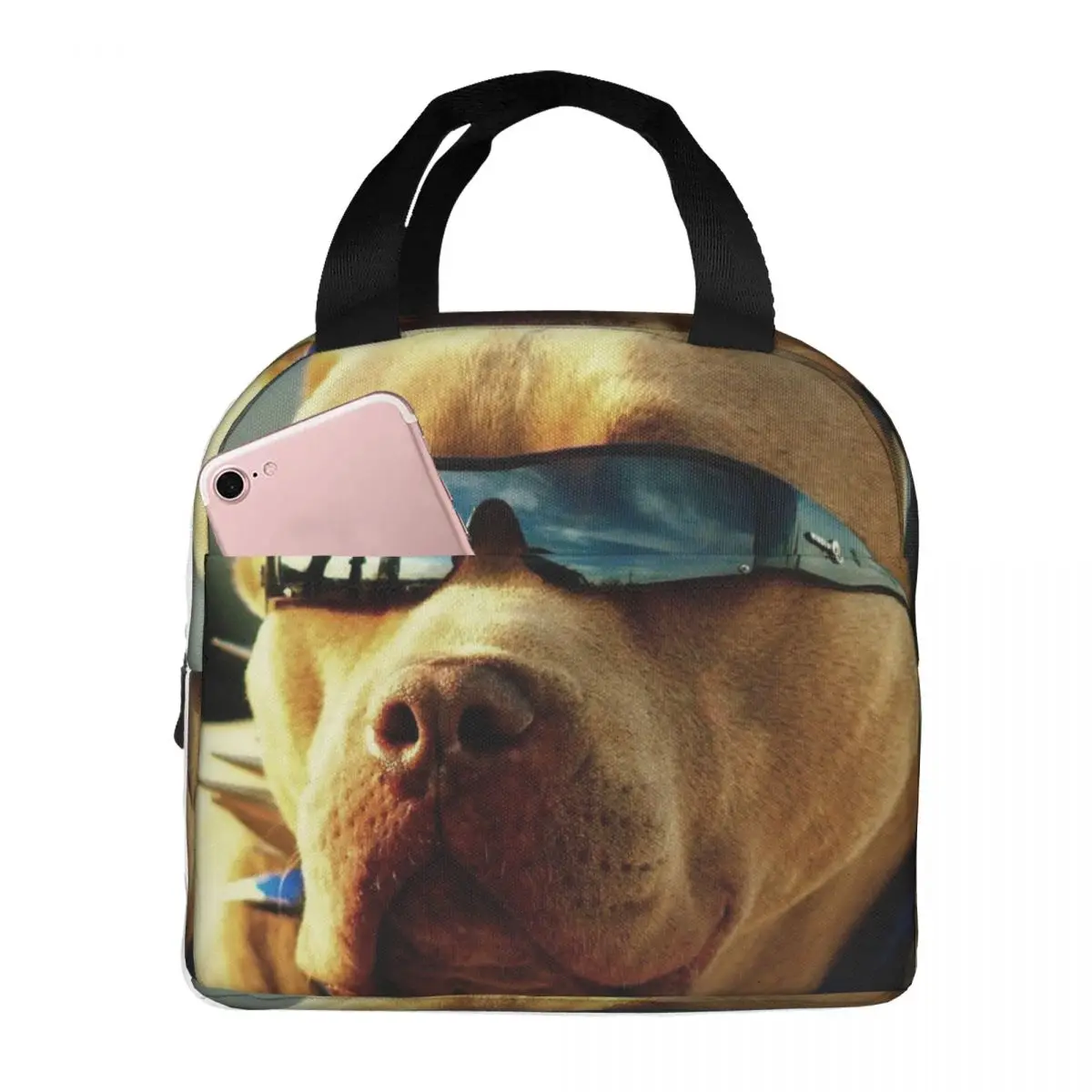 

Pitbull With Sunglasses Portable Insulated Oxford Lunch Bag Reusable Lunch Box Lunch Organizer Thermal Cooler Tote Bag
