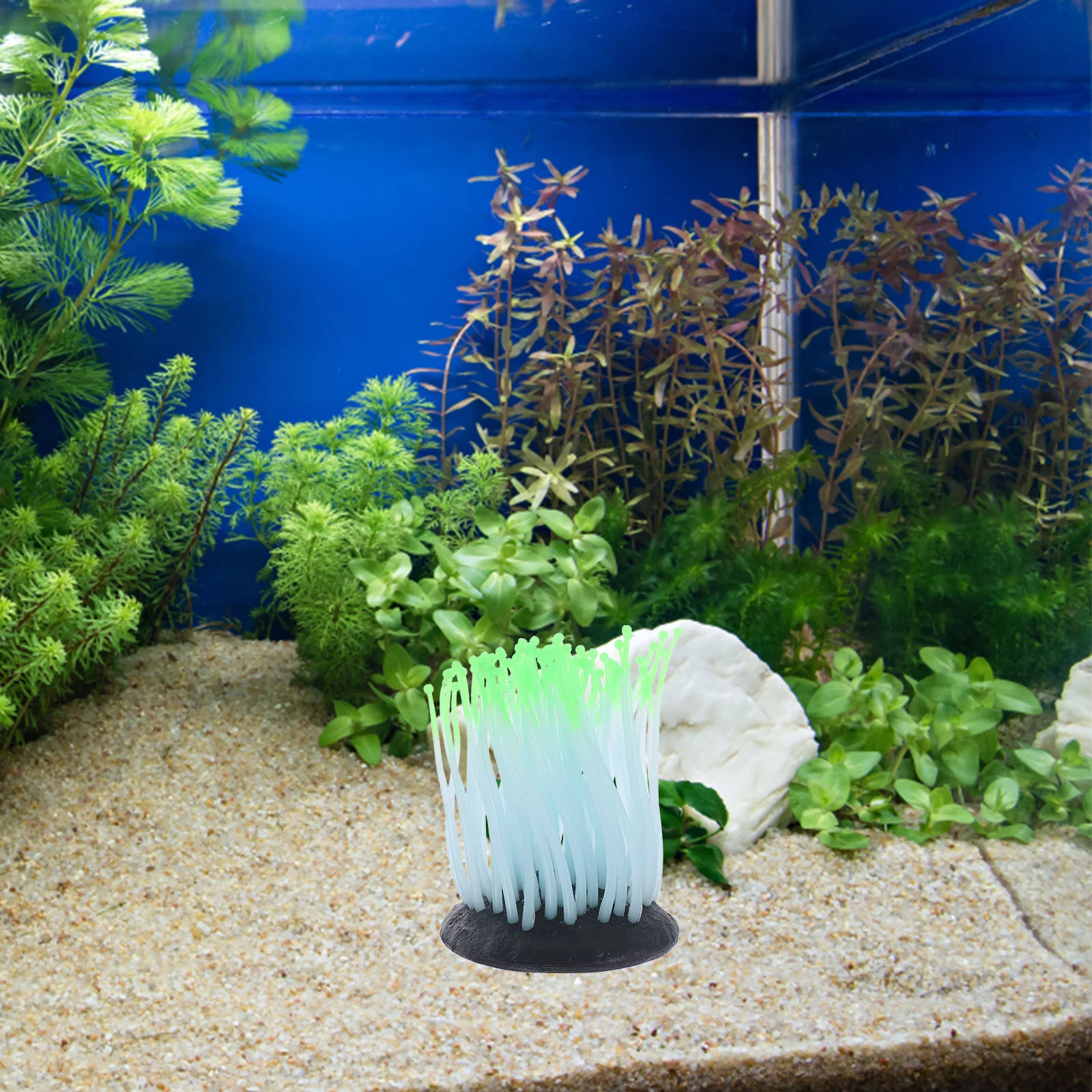 

Fish Tank Sea Anemone Adornment Lifelike Sea Anemone Fish Tank Landscape Decor