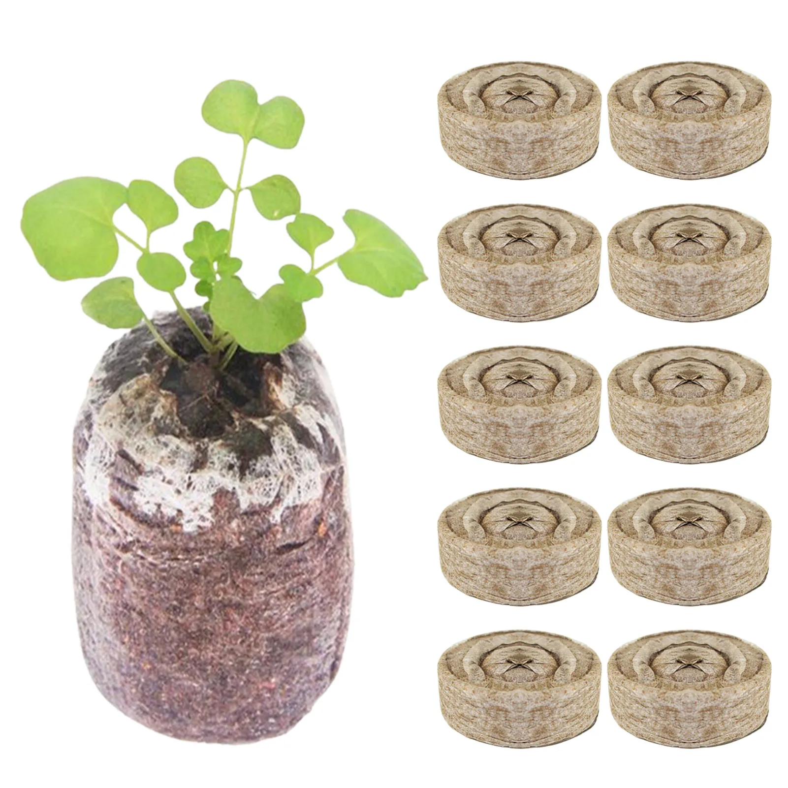 

10 Count Peat Pellets Seed Starter Seeds Starting Soil Seedling Mud Indoor Seed Starter Start Planting Garden Avoid Root Block