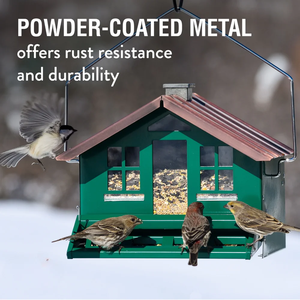 

Pet Squirrel Be Gone II Home Style Wild Bird Feeder