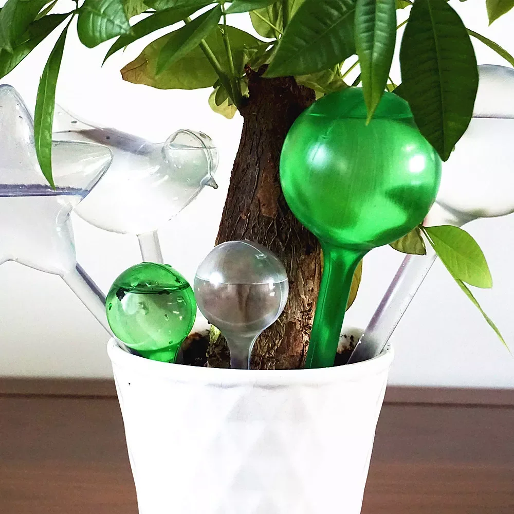

3/6 Pcs Plant Watering Bulb Self Watering Device Automatic Houseplant Plant Pot Bulb Globe Garden Watering System for Plant
