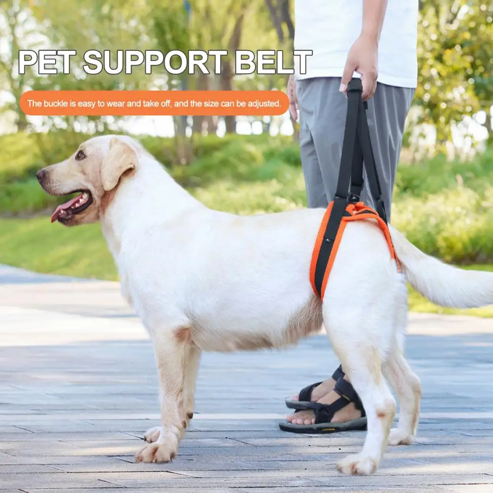 

Easy Buckle Pet Harness Dog Hind Leg Support Belt Adjustable Dog Sling Supportive Leg Belt for Elderly Injured Arthritic Dogs