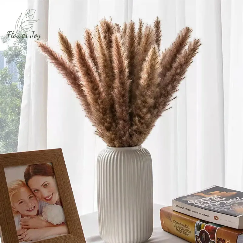 

Natural Floral Dried Flower Bunny Rabbit Tail Grass Colorful Mixed Bouquet Pampas Reed for Wedding Decoration Artificial Plants