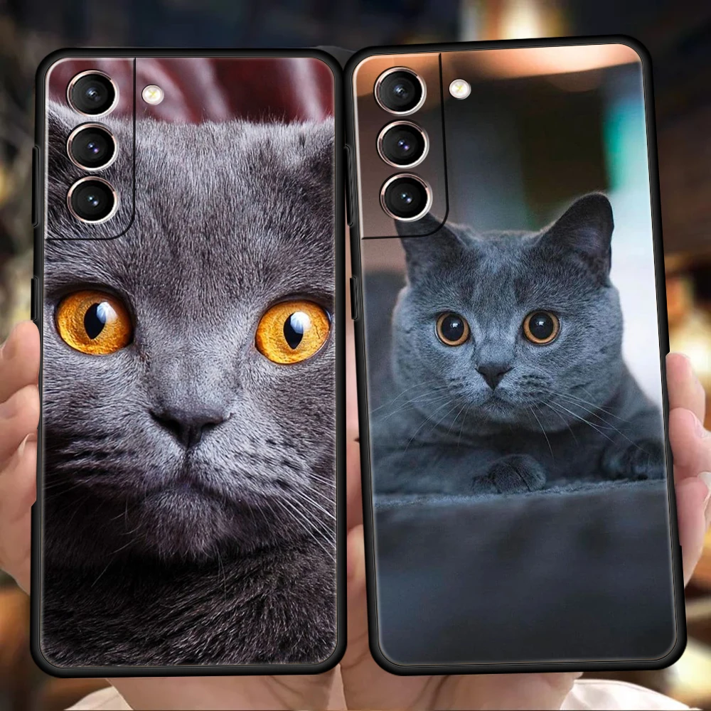 

British Shorthair Cat Case for Samsung Galaxy S22 S20 S21 FE Ultra S10 S9 M22 M32 Note 20 Ultra 10 Plus 5G Silicone Phone Cover