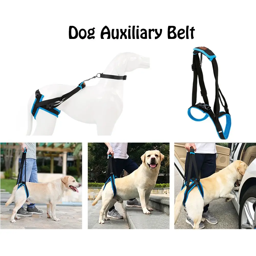 

Plush Disability Auxiliary Support Hind Leg Dog Lifting Belt Pet Auxiliary Belt Dog Walking Pet Lift Support Harness