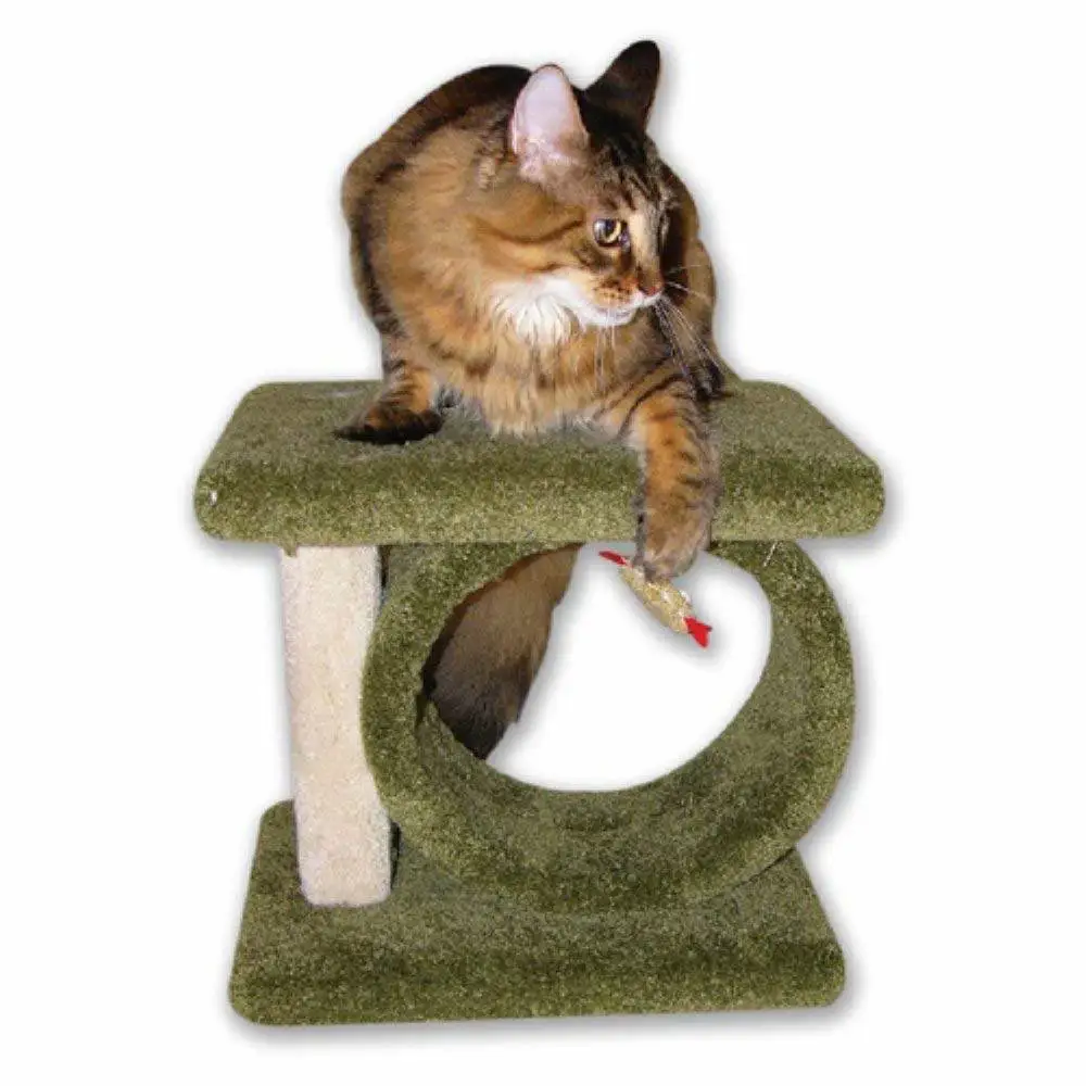 

Kitty Carnival 12W x 15H in. Cat Condo