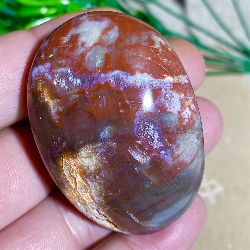 Woodstone Natural Stones Crystals Healing Xylopal Palm Mineral Aquariums Meditation Energy Wicca Wichcraft House Room Decor
