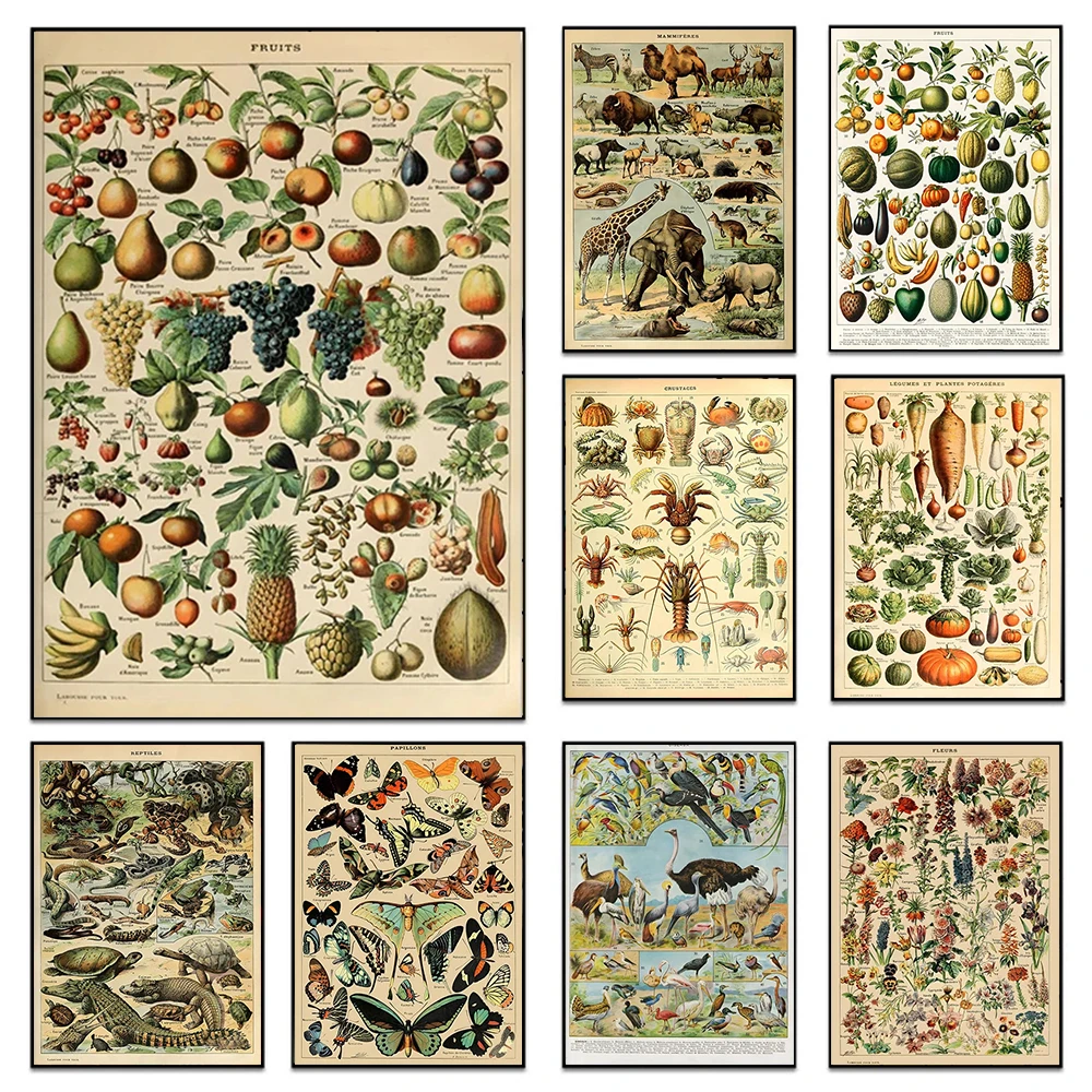

Retro Palaeobios Plant Posters Animal Flower Insect Butterfly Mushrooms Canvas Paintings Wall Art For Living Room Home Decor