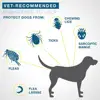 Pet Flea and Tick Collar for Dogs Cats Up To 8 Month Flea Tick Prevention Collar Anti-mosquito & Insect Repellent Puppy Supplies 2