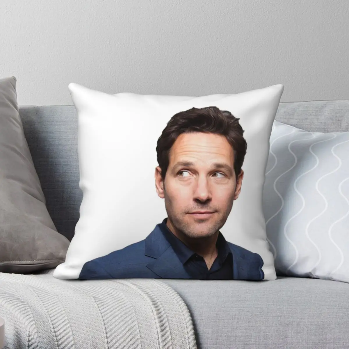 

Paul Rudd Square Pillowcase Polyester Linen Velvet Pattern Zip Decor Pillow Case Sofa Cushion Cover