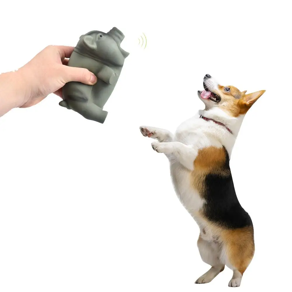 Аксессуары для чистки зубов интерактивные игрушки аксессуары собак |