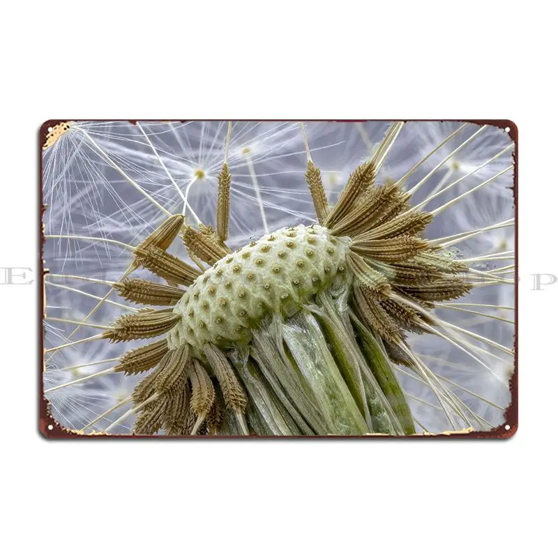 

Dandelion Metal Sign Kitchen Wall Decor Pub Plates Designs Wall Cave Tin Sign Poster
