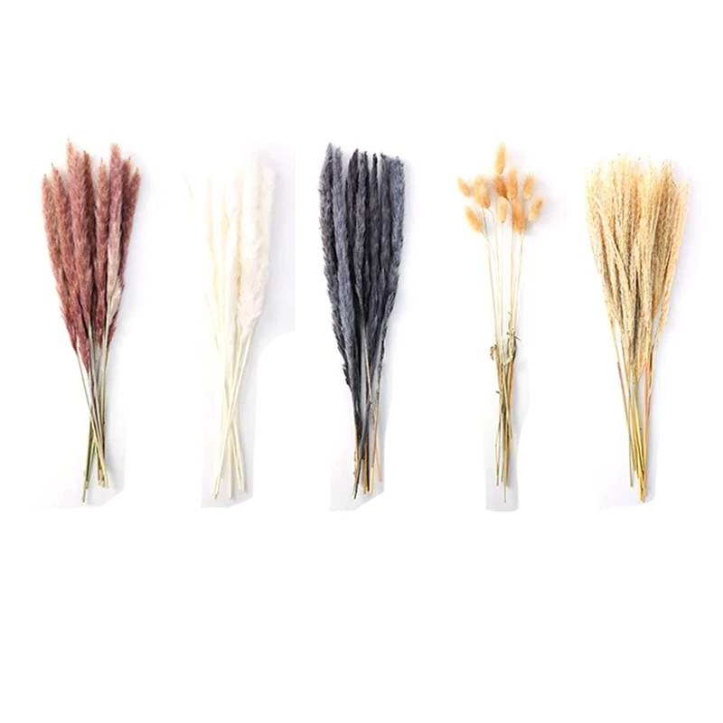 

Natural Dried Pampas Grass 70Pcs, 20Pcs Brown Pampas 20 Pcs White&Black Pampas 10Pcs Fluffy Bunny Grass 20Pcs Reed Grass