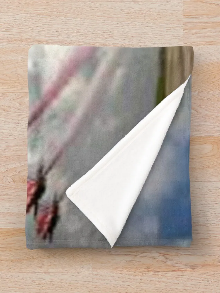 Красные Стрелы просто снимите плед мягкое одеяло для кровати пушистое предметы