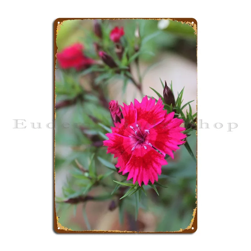 

Красный цветок, металлический плакат, кинотеатр, украшение для паба, печать на стене, пещера, жестяной плакат