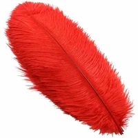 wholasale fluffy red ostrich feathers wedding party accessories carnival diy plumes dancer craft accessories for crafts 15 70cm