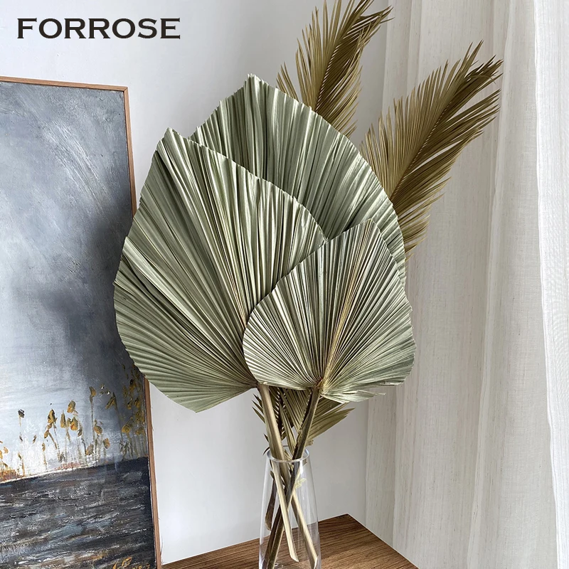 3PCS Large Dried Palm Leaves Natural Flowers Trimmed Palm Leaves Fall Decoration Party Art Wall Hanging Boho Wedding Decor