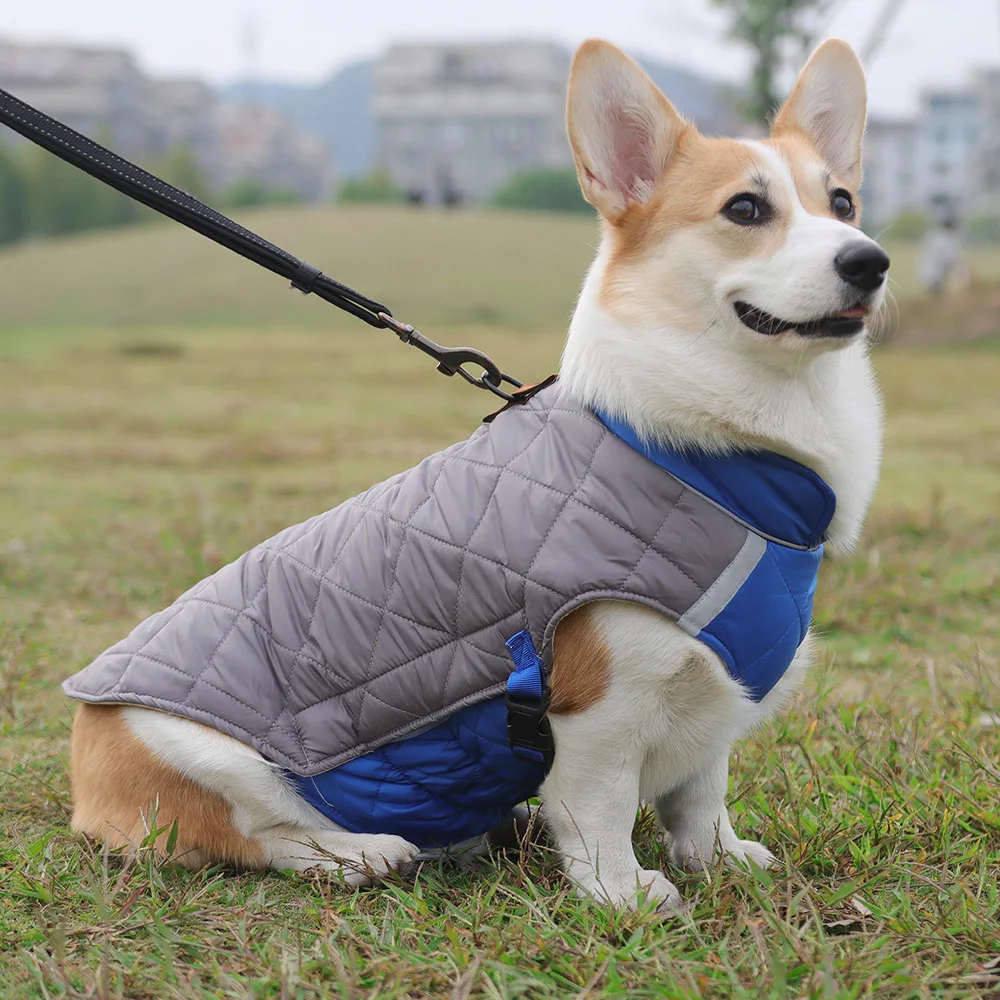 

Winter Dog Clothes Small Dogs Warm Fleece Large Dog Jacket Pet Coat With Harness Chihuahua Clothing Puppy Costume Pet Supplies
