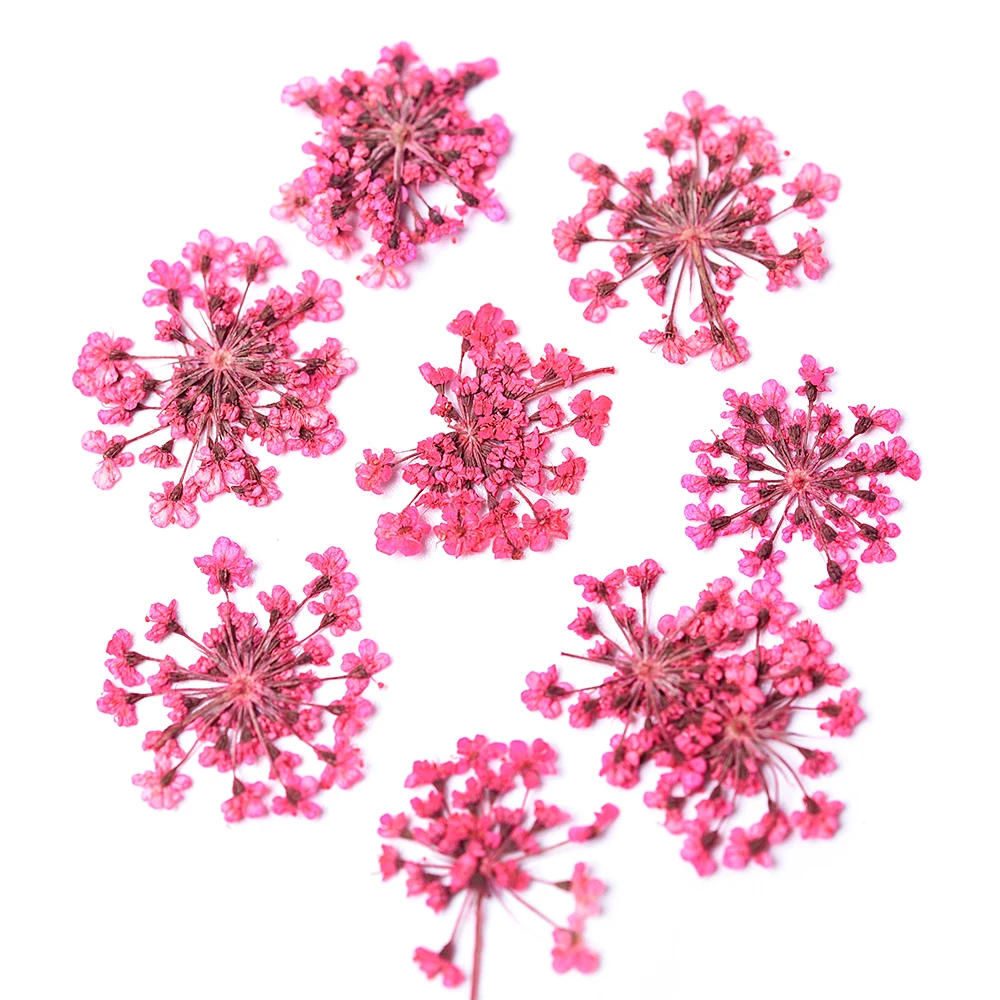 KADS 3D Dried Flowers Nail Art Decoration Natural Flower Stickers Charms Designs DIY Manicure For Nails Accessories Red Pink