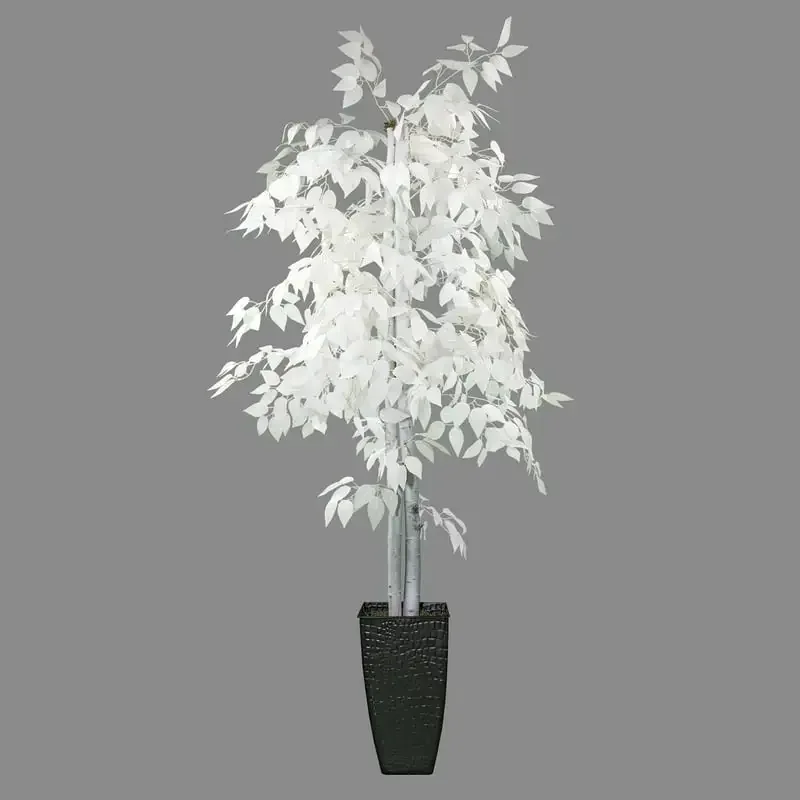 

6 Foot Tall Designer White Ficus Tree in Black Metal Pot