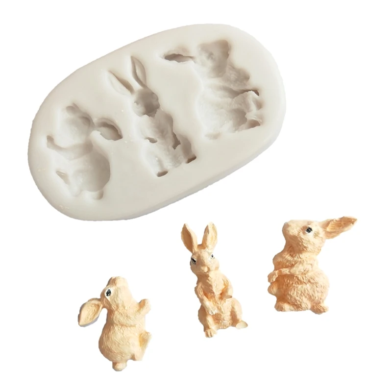 

Easter Decoration Silicone Cracker Mold Template w/ High Temperature-resist Party Holiday Festival Supply Desert Mold P31B