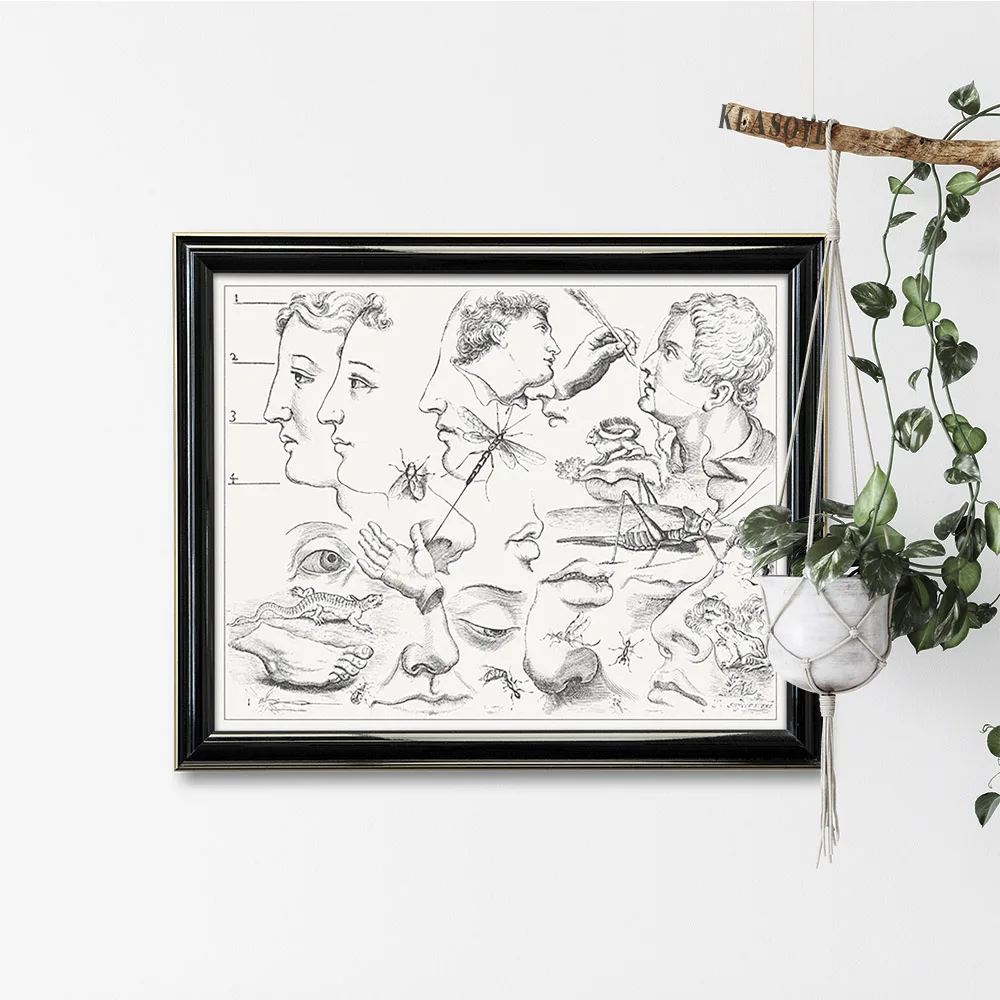 Художественная схема