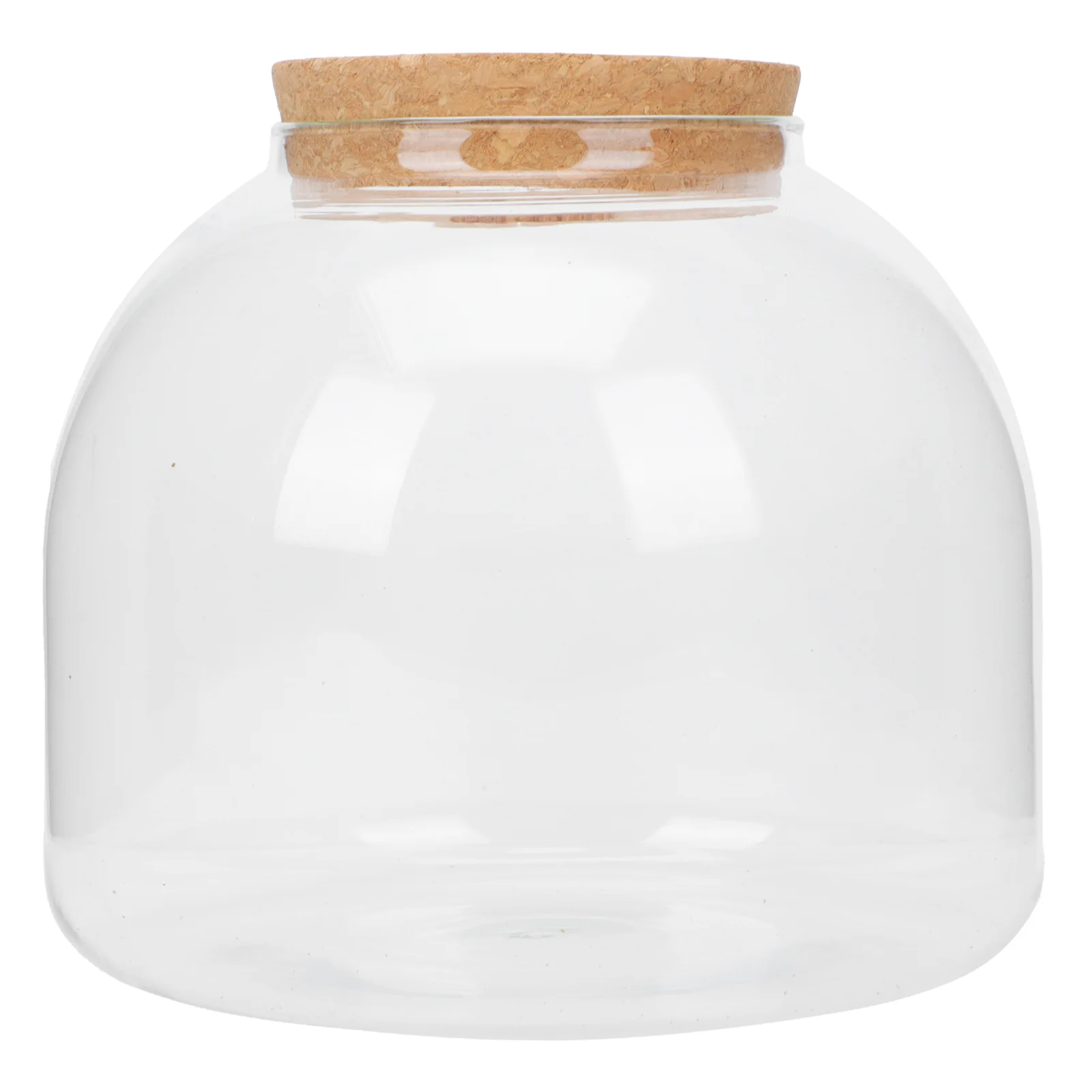 

Glass Vases Holder Flower Clear Air Container Bottle Micro Landscape Ecological
