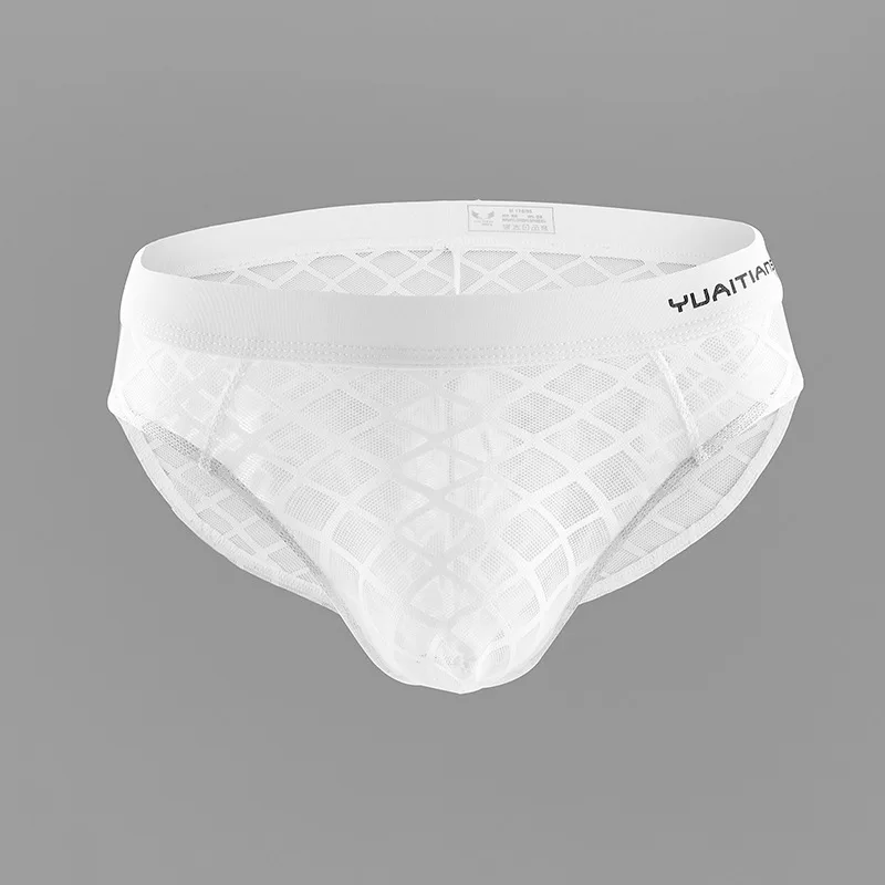 Men's underwear / mesh mesh low waist underwear / breathable sexy briefs sissy panties for men mens underwear