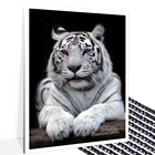 Алмазная вышивка 5D, набор для шитья животное белый тигр, алмазная живопись сделай сам, черно-белое животное, вышивка крестиком, украшение для дома