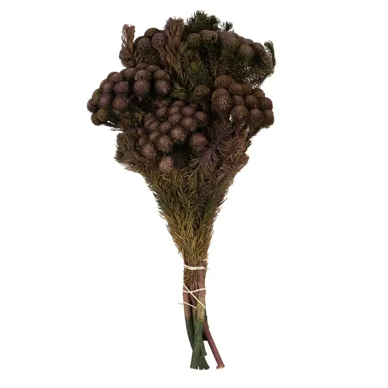 

Violet Brunia Bundle. Includes 8oz (2 -4 per Bundles), Preserved Cooling rack Round cake pan for baking Baking tray for oven B