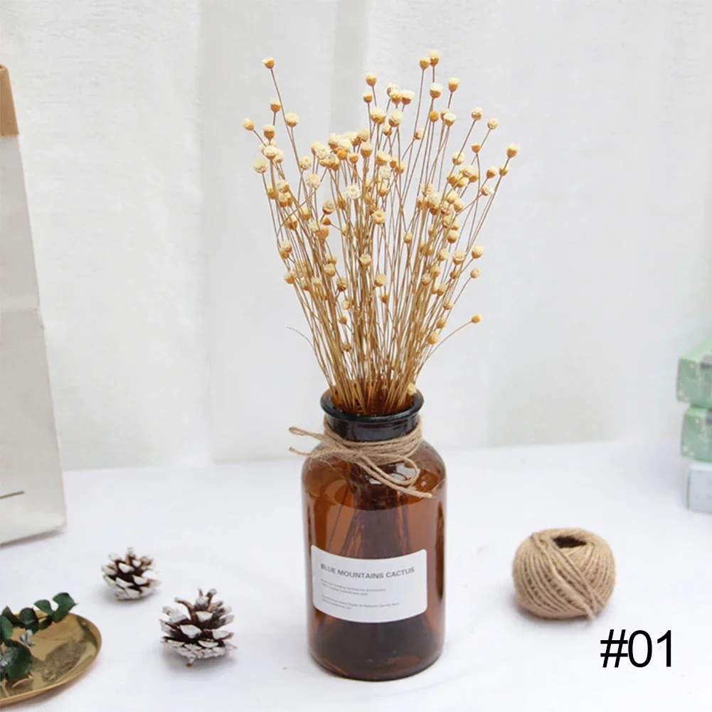 

Букет сухих цветов 50 шт.