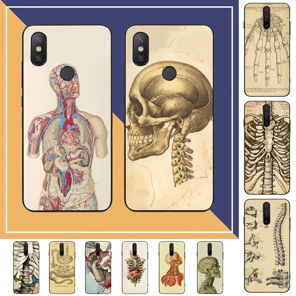 

Medical Human Anatomy Phone Case For Redmi Note 4 X 5 A 6 7 8 T 9 9S 10 11 11S 11Epro Poco M3 Pro