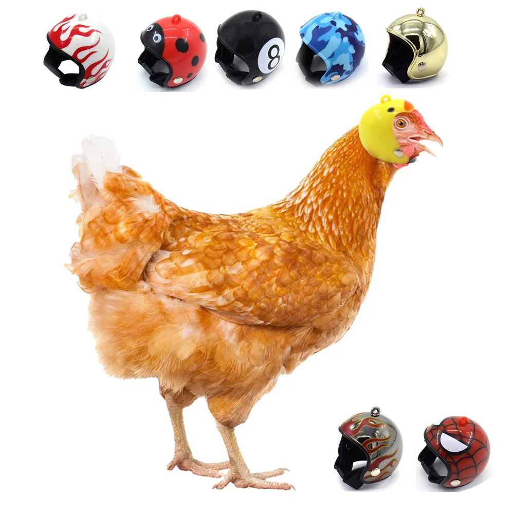 

1 pcs Chicken Helmet Cap Pet Toy Bird Hens Small Pet Supplies Protective Gear Sun Rain Protection Helmet Costumes Accessories