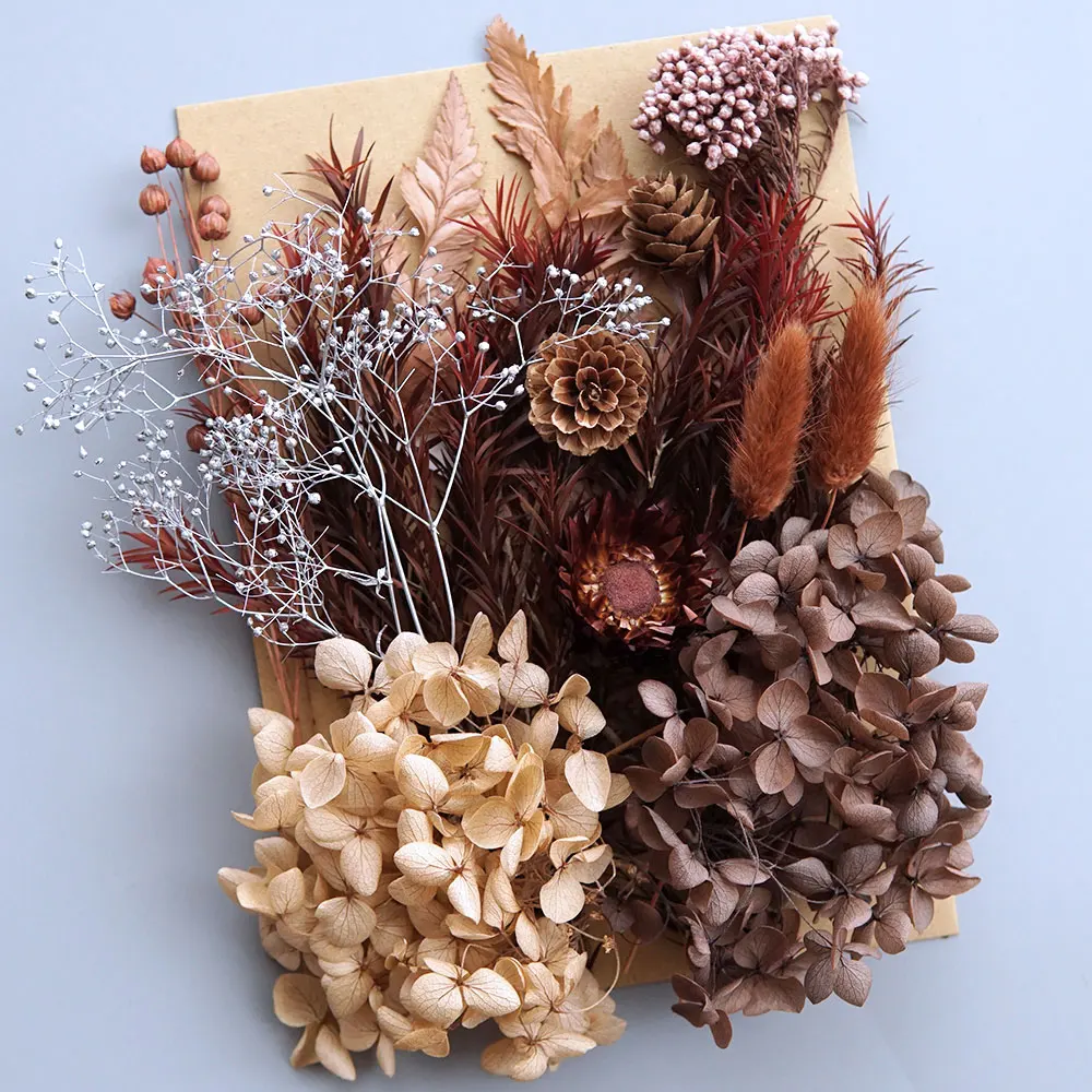 

Набор сухих цветов гортензий