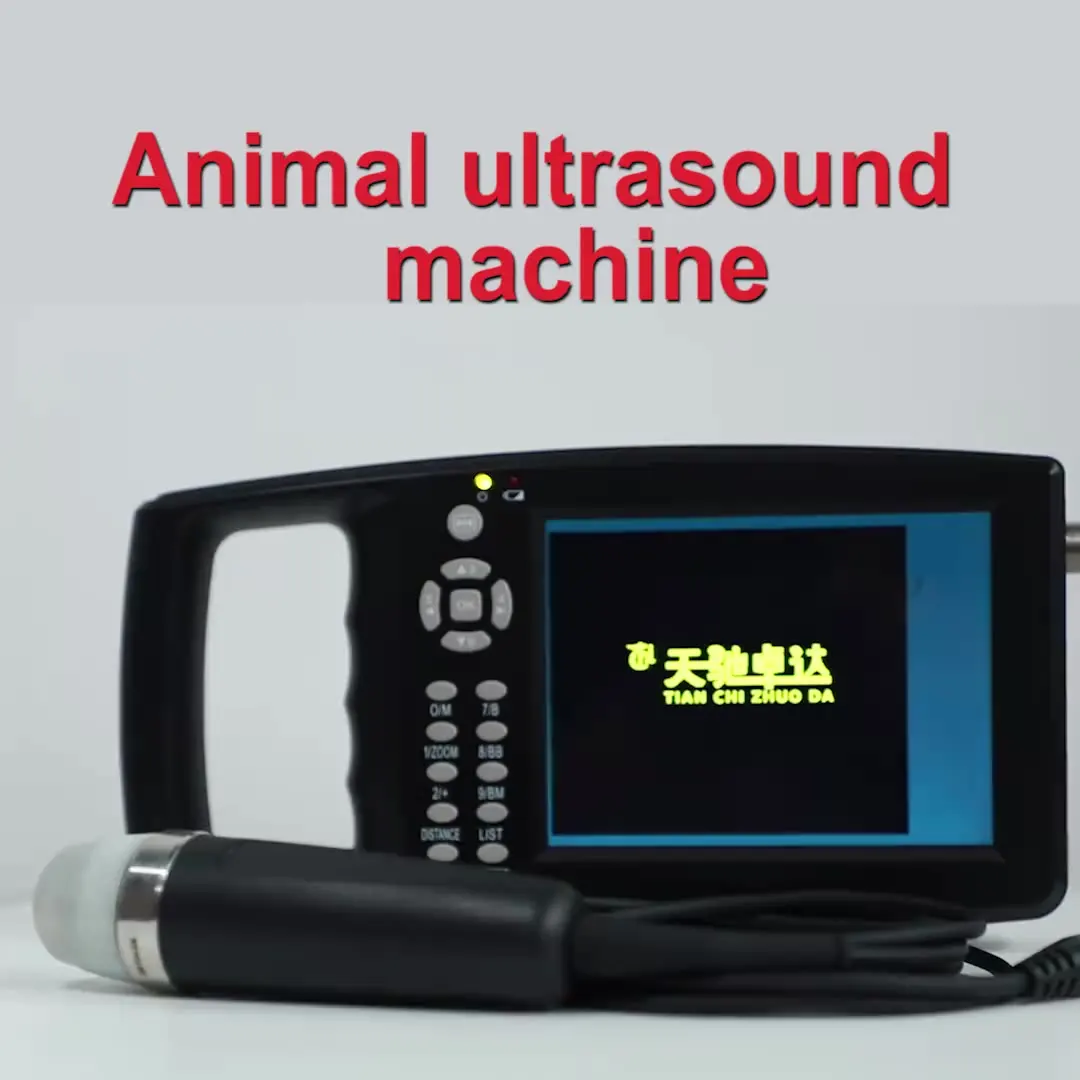 

Mini Portable Diagnostic Medical Ultrasound Machine Laptop Vet Handheld Ultrasound Veterinary Ultrasound Machine