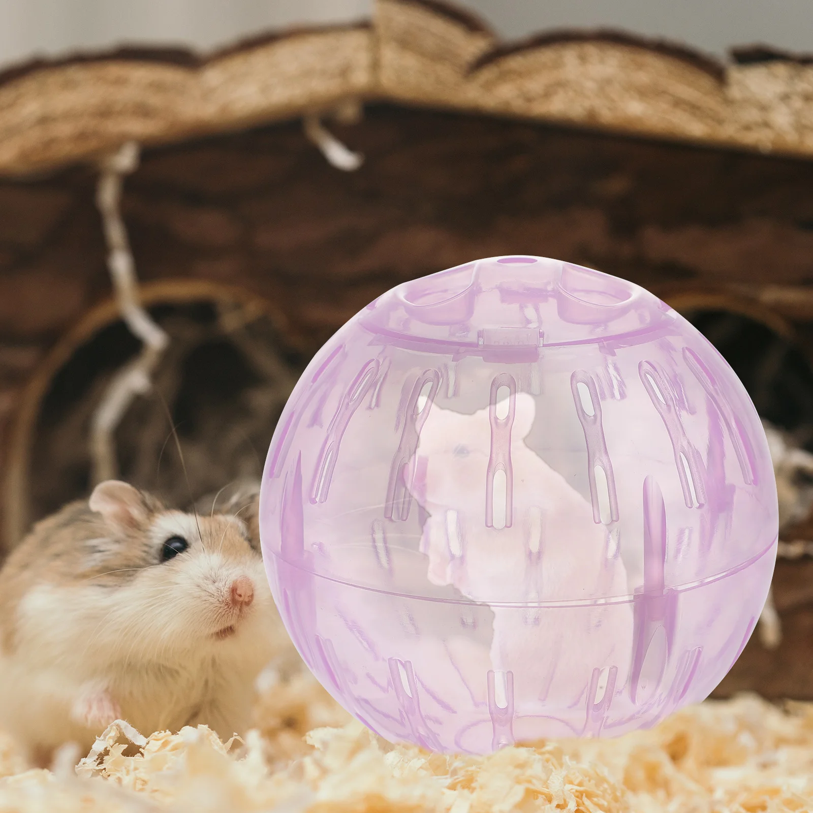 

Hamster Exercise 10cm Running Small Jogging Training Activity for Chinchillas Hamster Gerbil ( ) Ferret